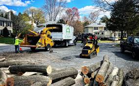 Best Pest Control for Lawns  in Pantops, VA