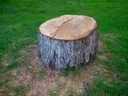 Best Hazardous Tree Removal  in Pantops, VA